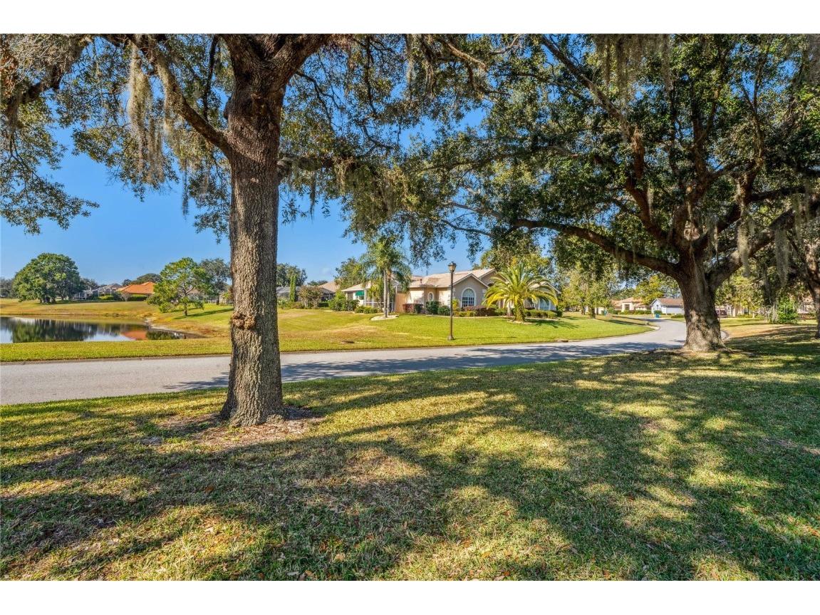 9298 Grand Cypress Drive Weeki Wachee FL 34613 W7880635 image96