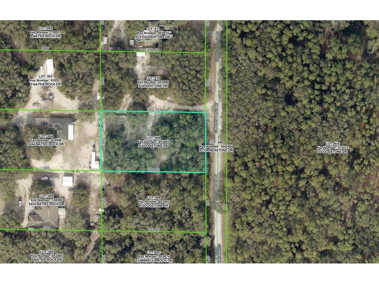 9299 Goodstone Drive Webster FL 33597 OM721584 image2