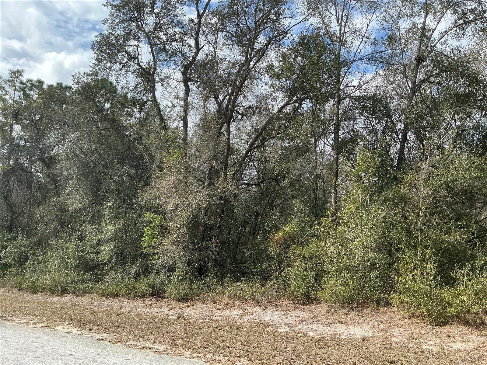 9299 Goodstone Drive Webster FL 33597 OM721584 image3