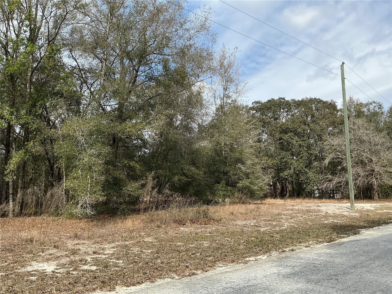 9299 Goodstone Drive Webster FL 33597 OM721584 image4