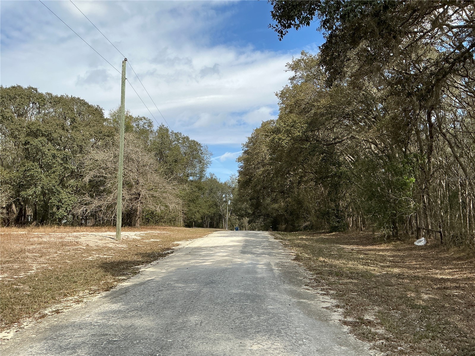 9299 Goodstone Drive Webster FL 33597 OM721584 image5