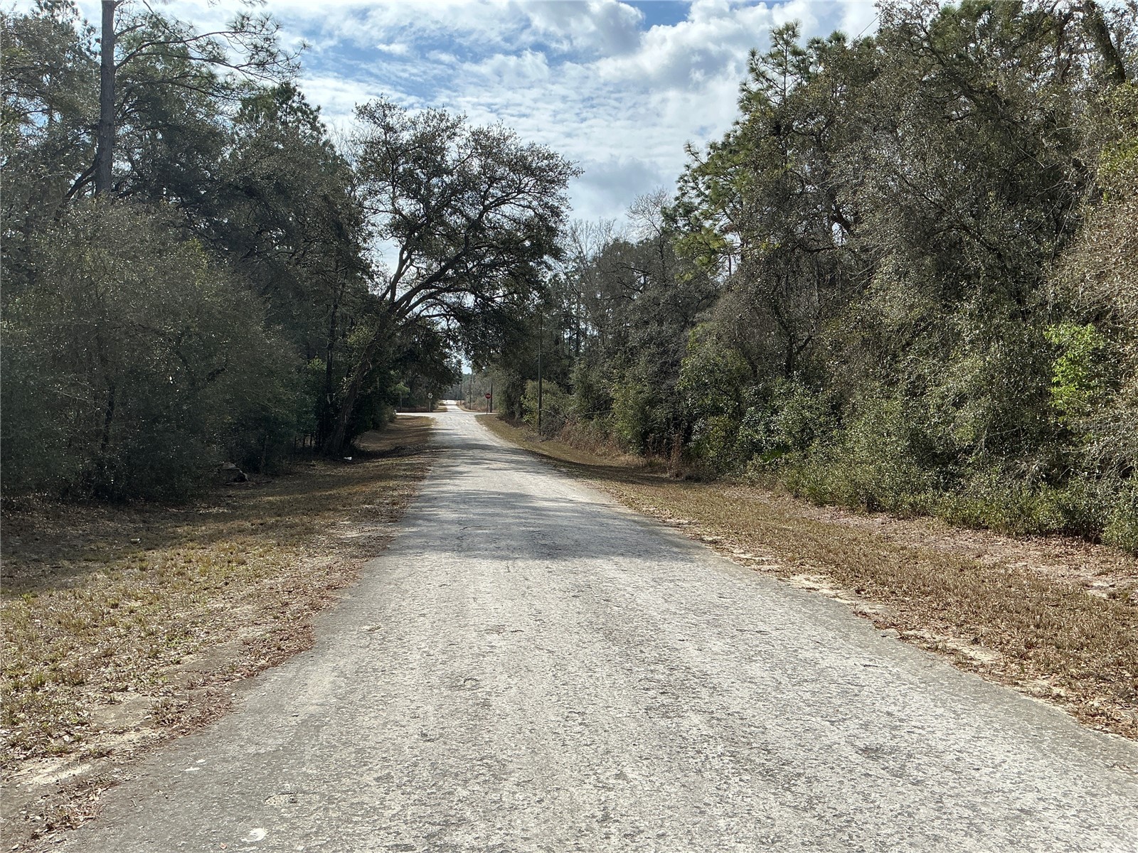 9299 Goodstone Drive Webster FL 33597 OM721584 image6