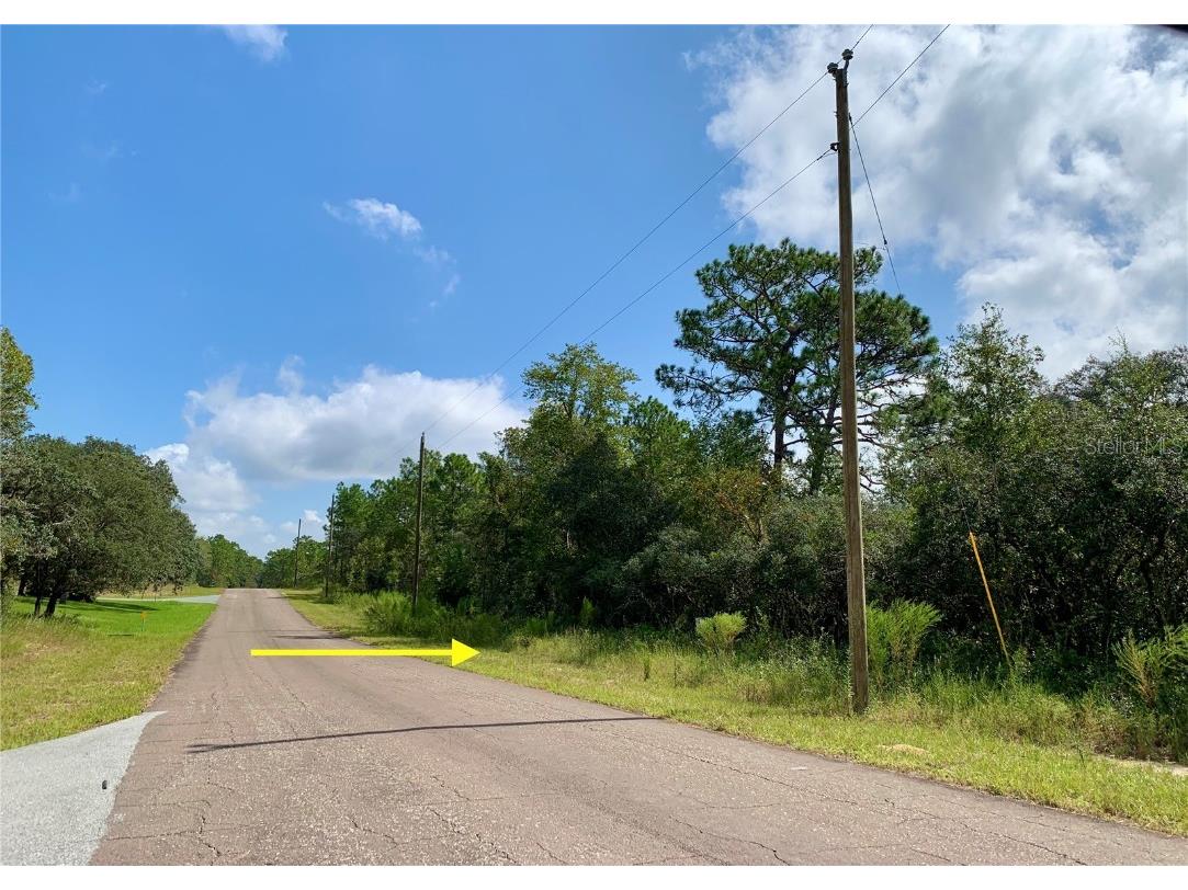 9299 N Hawkweed Drive Citrus Springs FL 34433 G5073472 image1