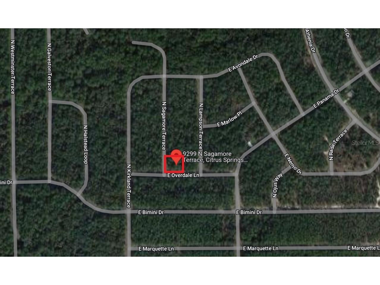 9299 N Sagamore Terrace Citrus Springs FL 34434 A4553354 image1