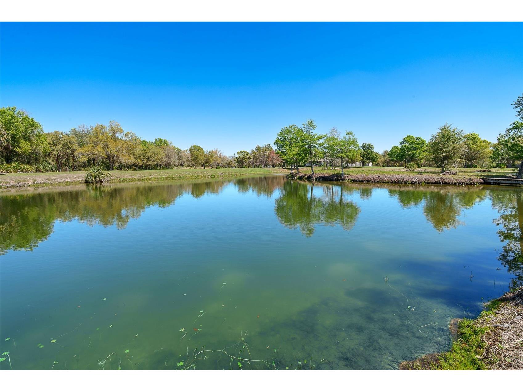 9299 SW Lipe Road Arcadia FL 34269 D6146733 image52