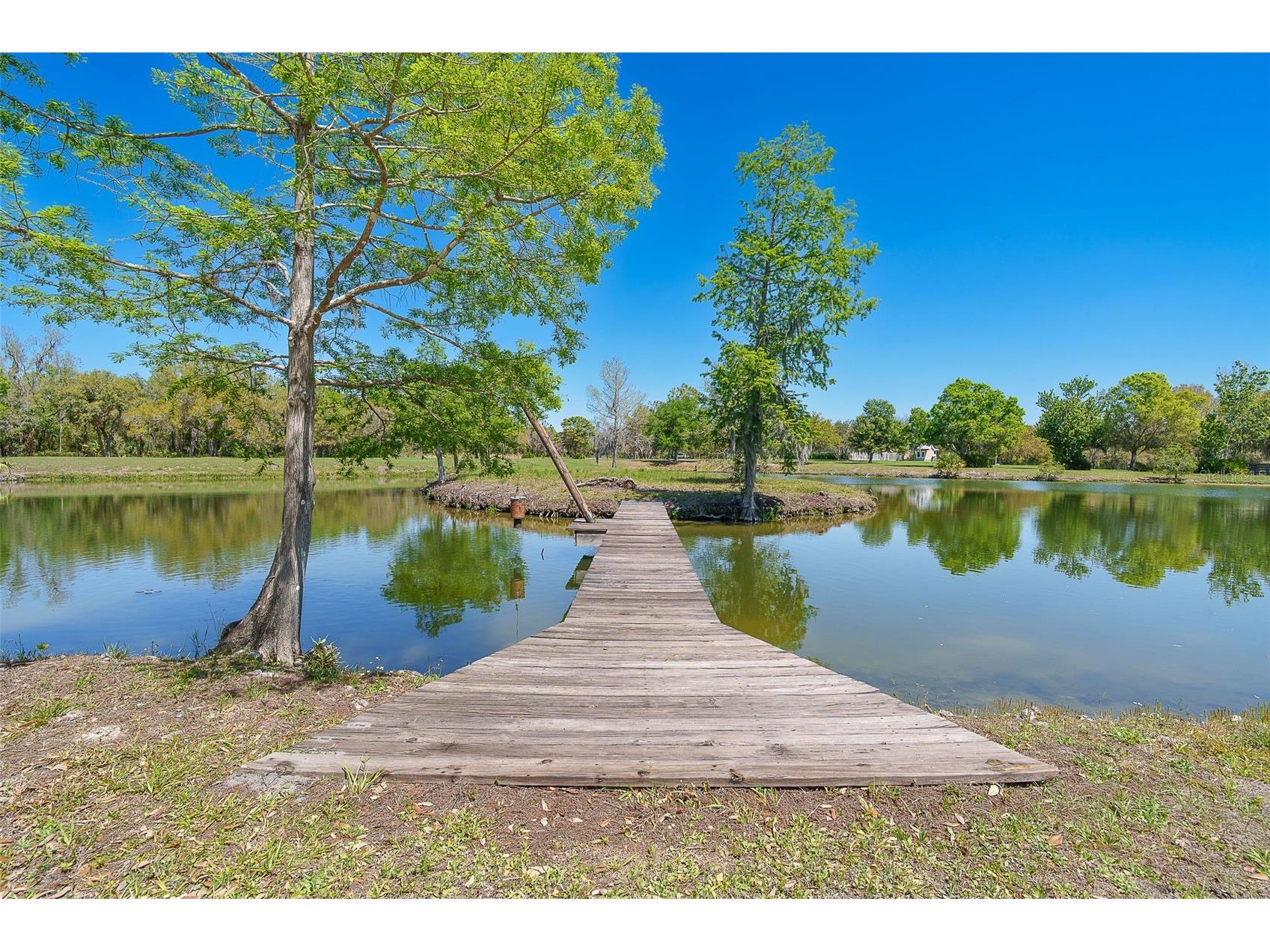 9299 SW Lipe Road Arcadia FL 34269 D6146733 image53