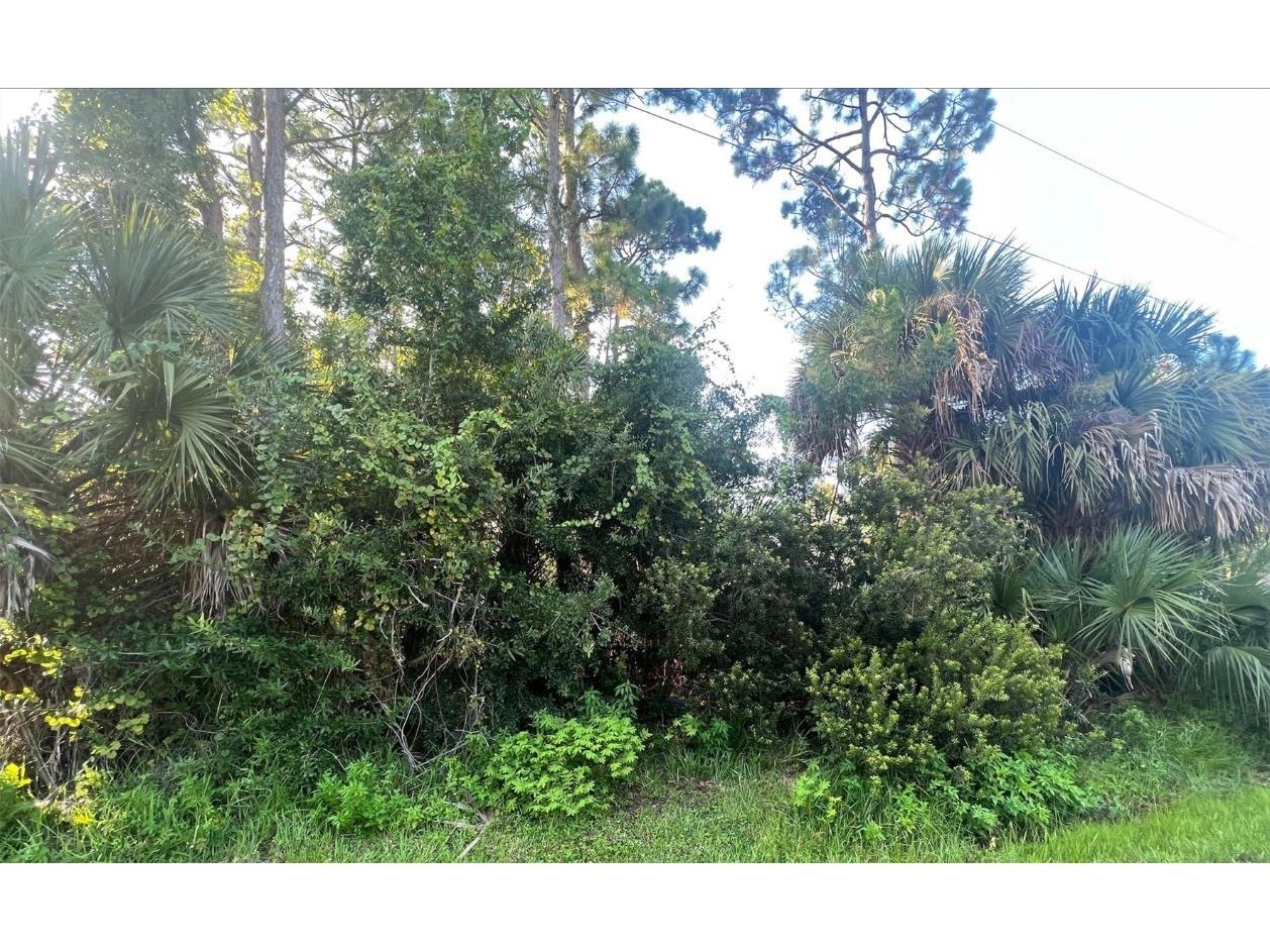 93 Beacon Mill Lane Palm Coast FL 32137 FC293873 image1