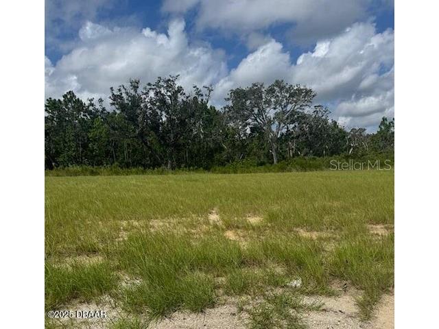 93 Coronado Road Flagler Beach FL 32136 V4945269 image1