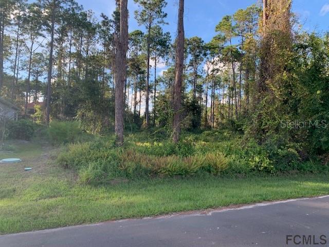 93 Evans Drive Palm Coast FL 32164 FC271742 image2