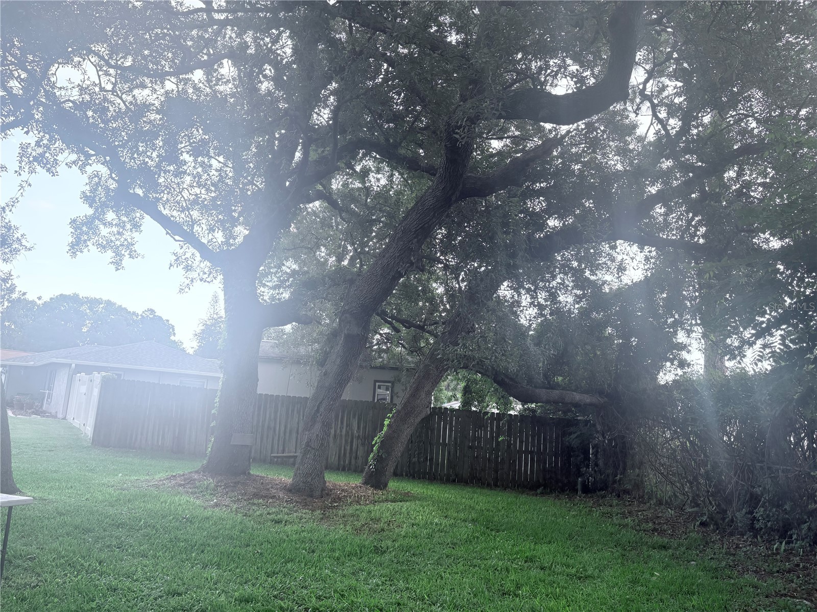 93 Glass Court Port Orange FL 32129 O6420546 image13