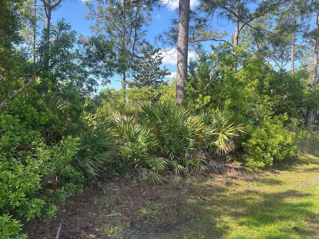 93 Prince Eric Lane Palm Coast FL 32164 A4690480 image1