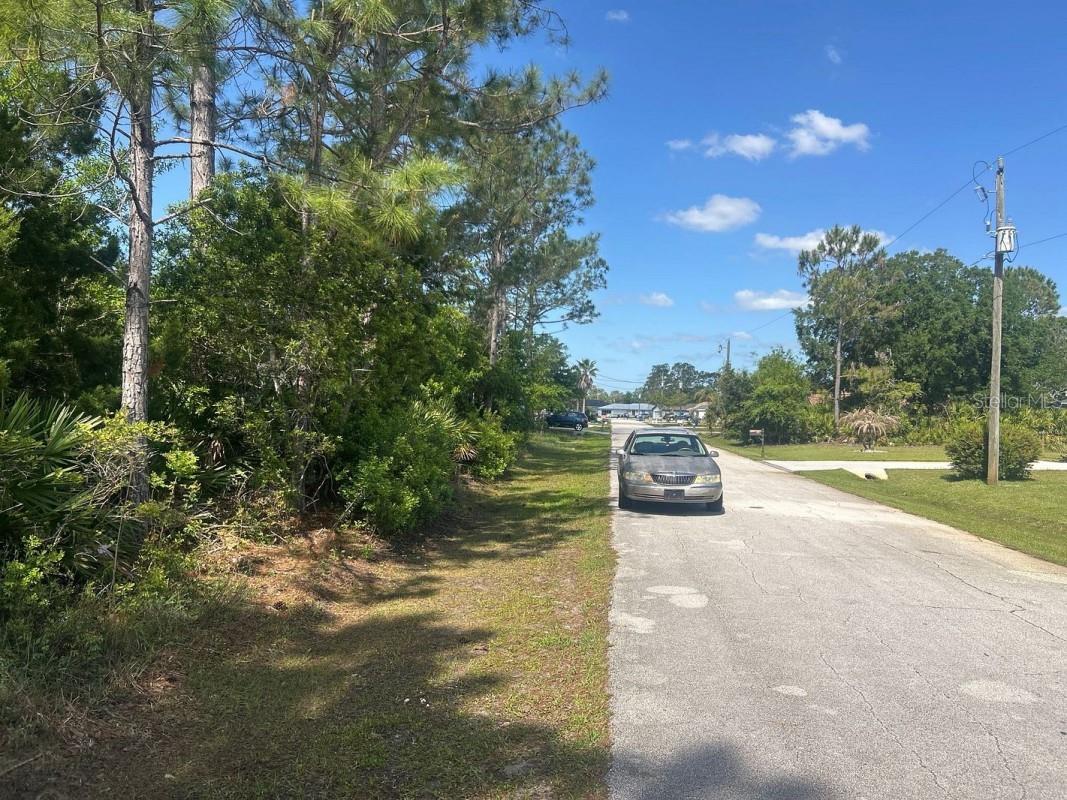 93 Prince Eric Lane Palm Coast FL 32164 A4690480 image3