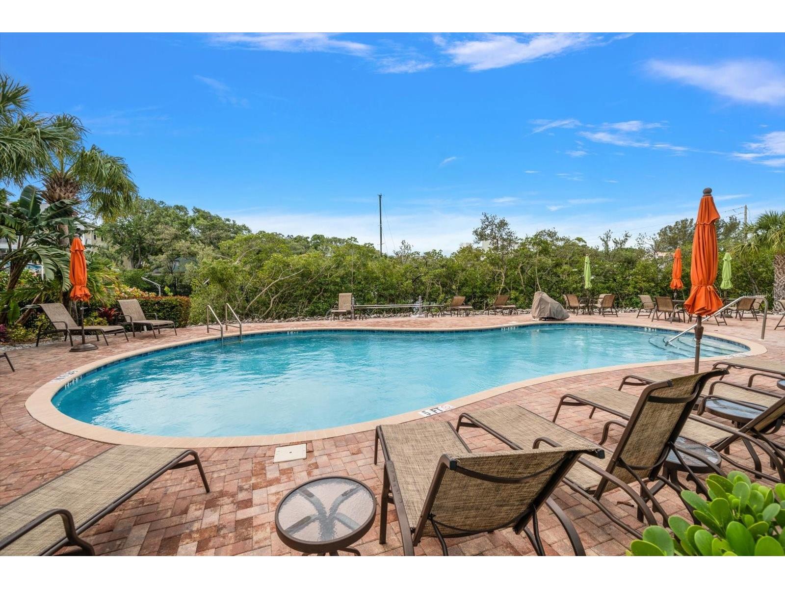 93 The Cove Way Indian Rocks Beach FL 33785 TB8486470 image42