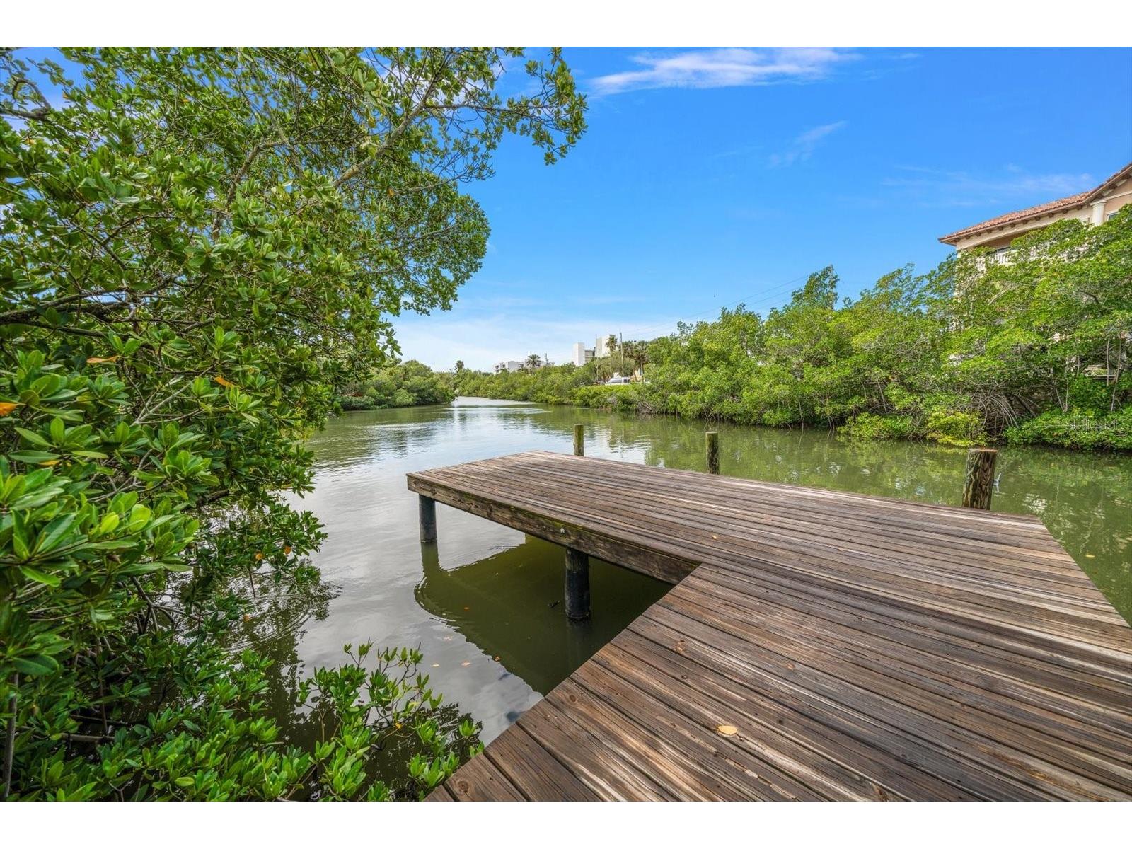 93 The Cove Way Indian Rocks Beach FL 33785 TB8486470 image44