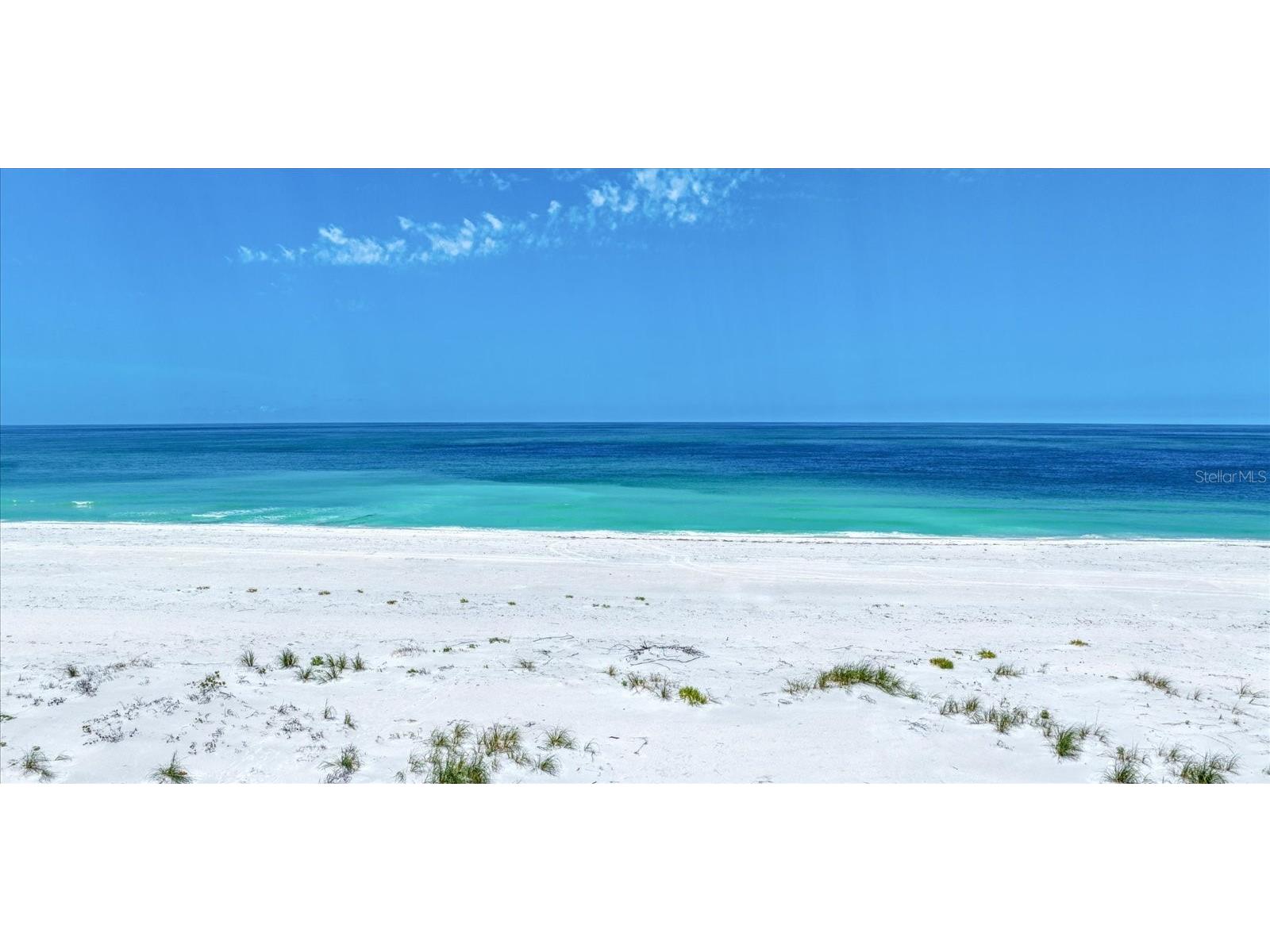93 The Cove Way Indian Rocks Beach FL 33785 TB8486470 image45