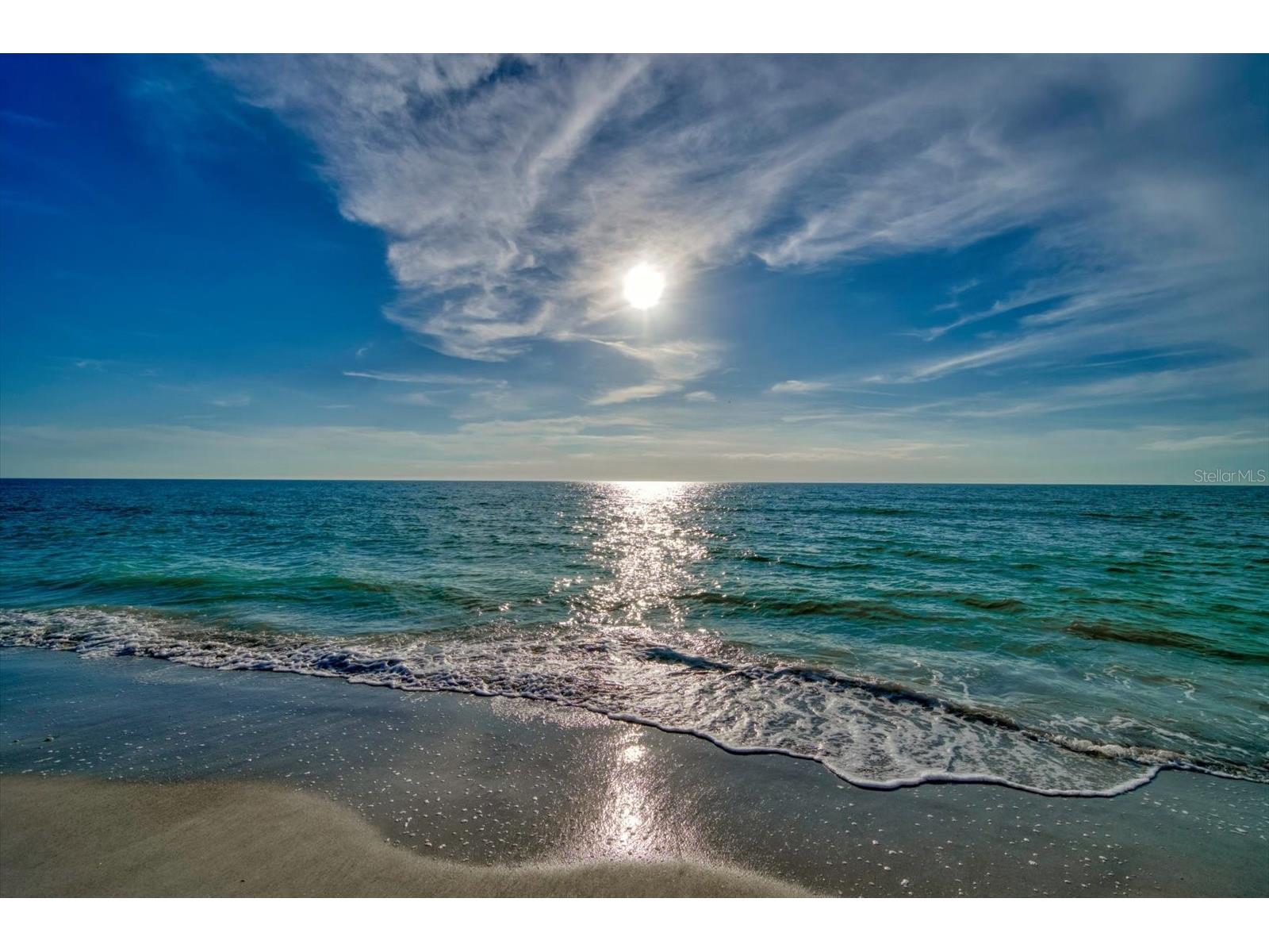 93 The Cove Way Indian Rocks Beach FL 33785 TB8486470 image46