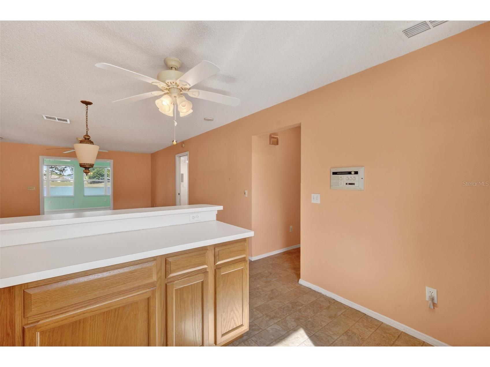 930 Camino Del Rey Drive The Villages FL 32159 - LAGO DEL LUNA G5110447 image10