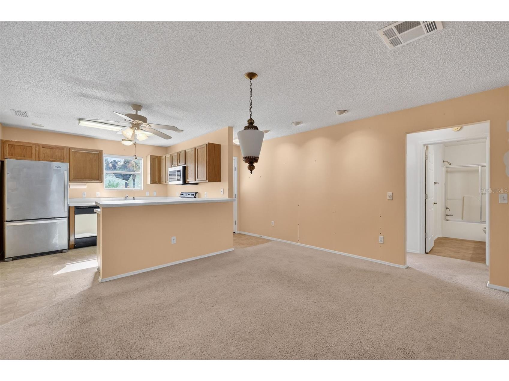 930 Camino Del Rey Drive The Villages FL 32159 - LAGO DEL LUNA G5110447 image11