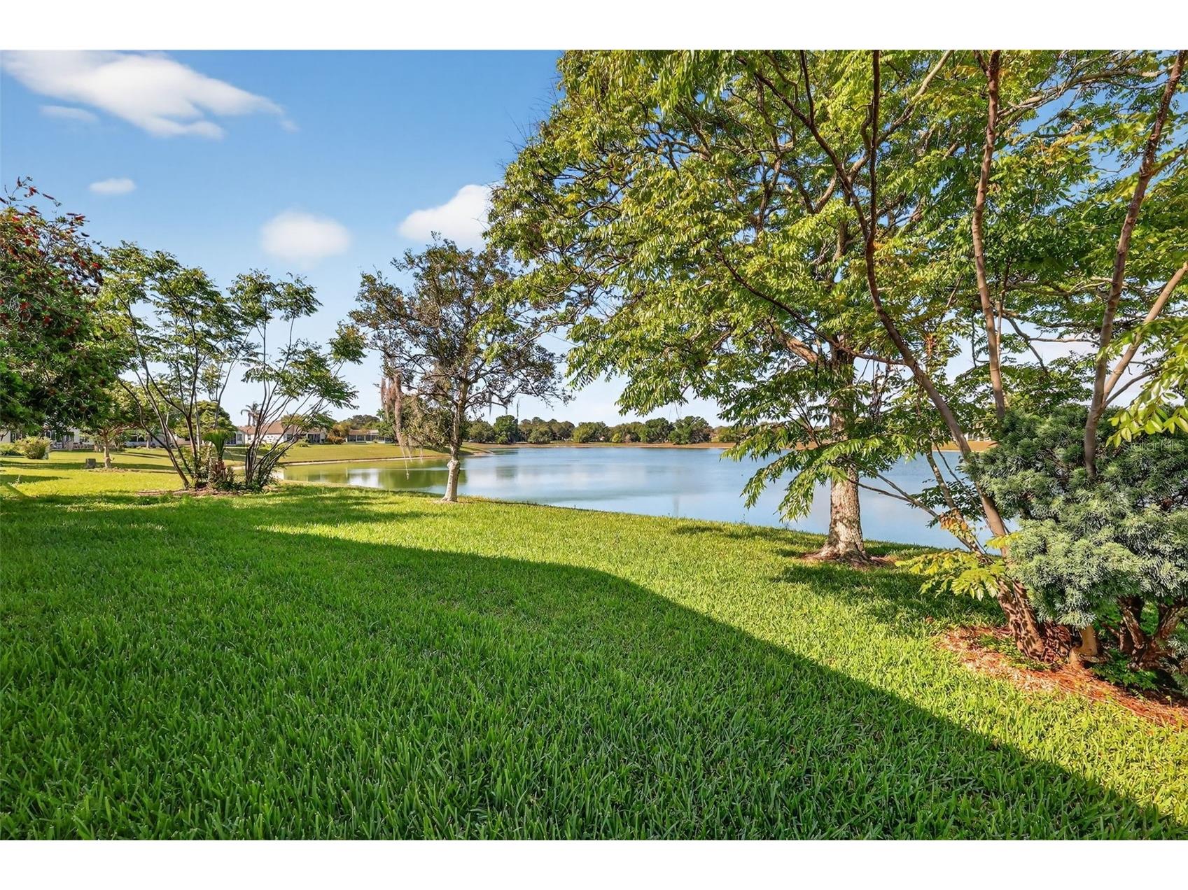 930 Camino Del Rey Drive The Villages FL 32159 - LAGO DEL LUNA G5110447 image3