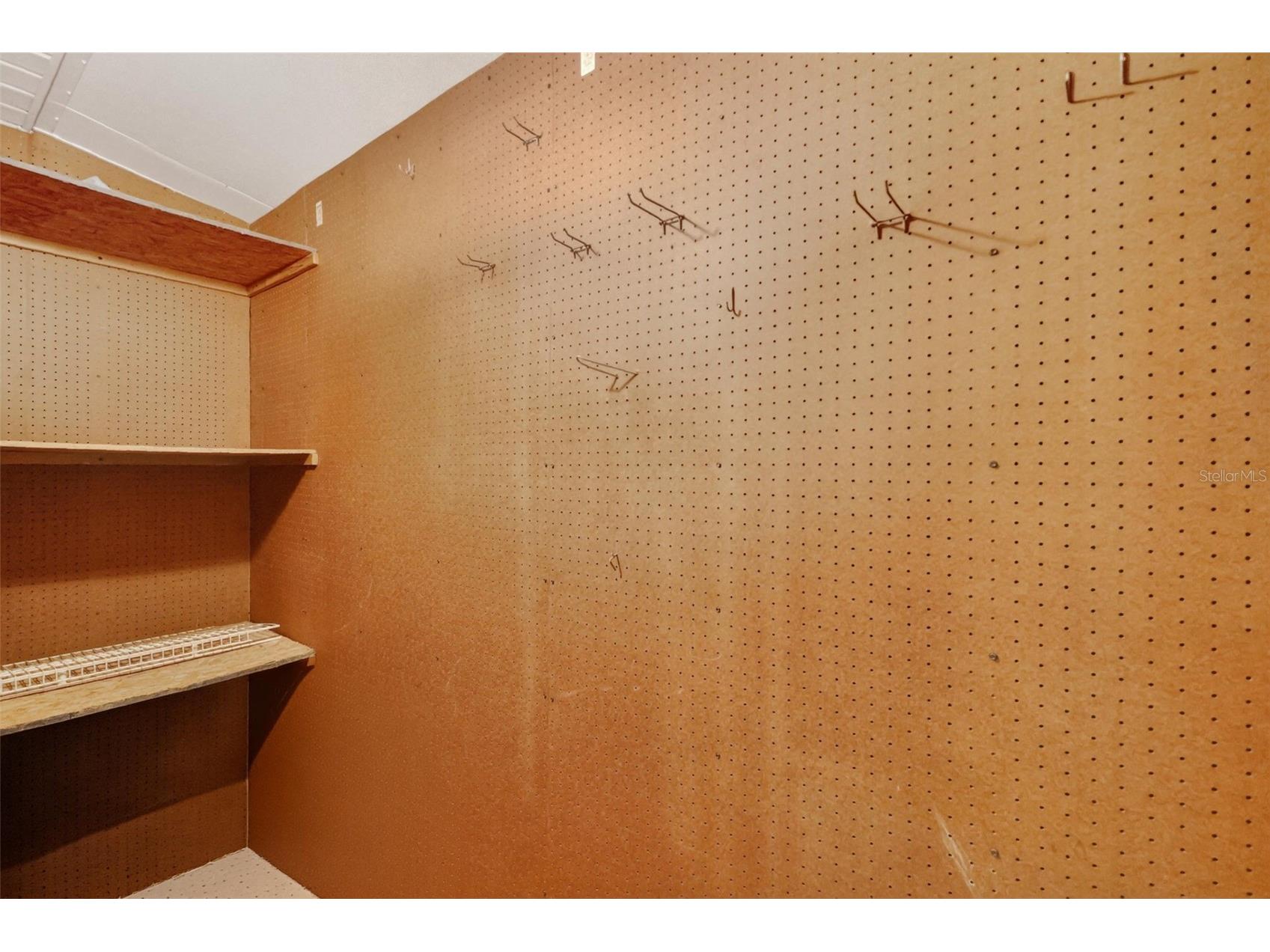 930 Camino Del Rey Drive The Villages FL 32159 - LAGO DEL LUNA G5110447 image36