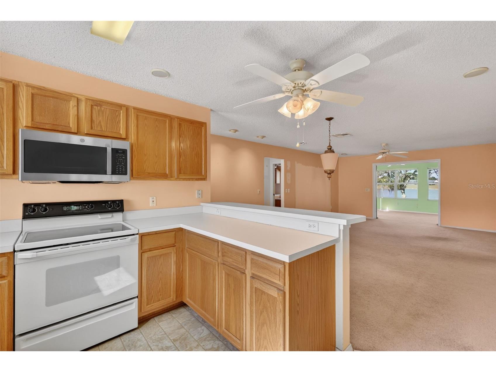 930 Camino Del Rey Drive The Villages FL 32159 - LAGO DEL LUNA G5110447 image9