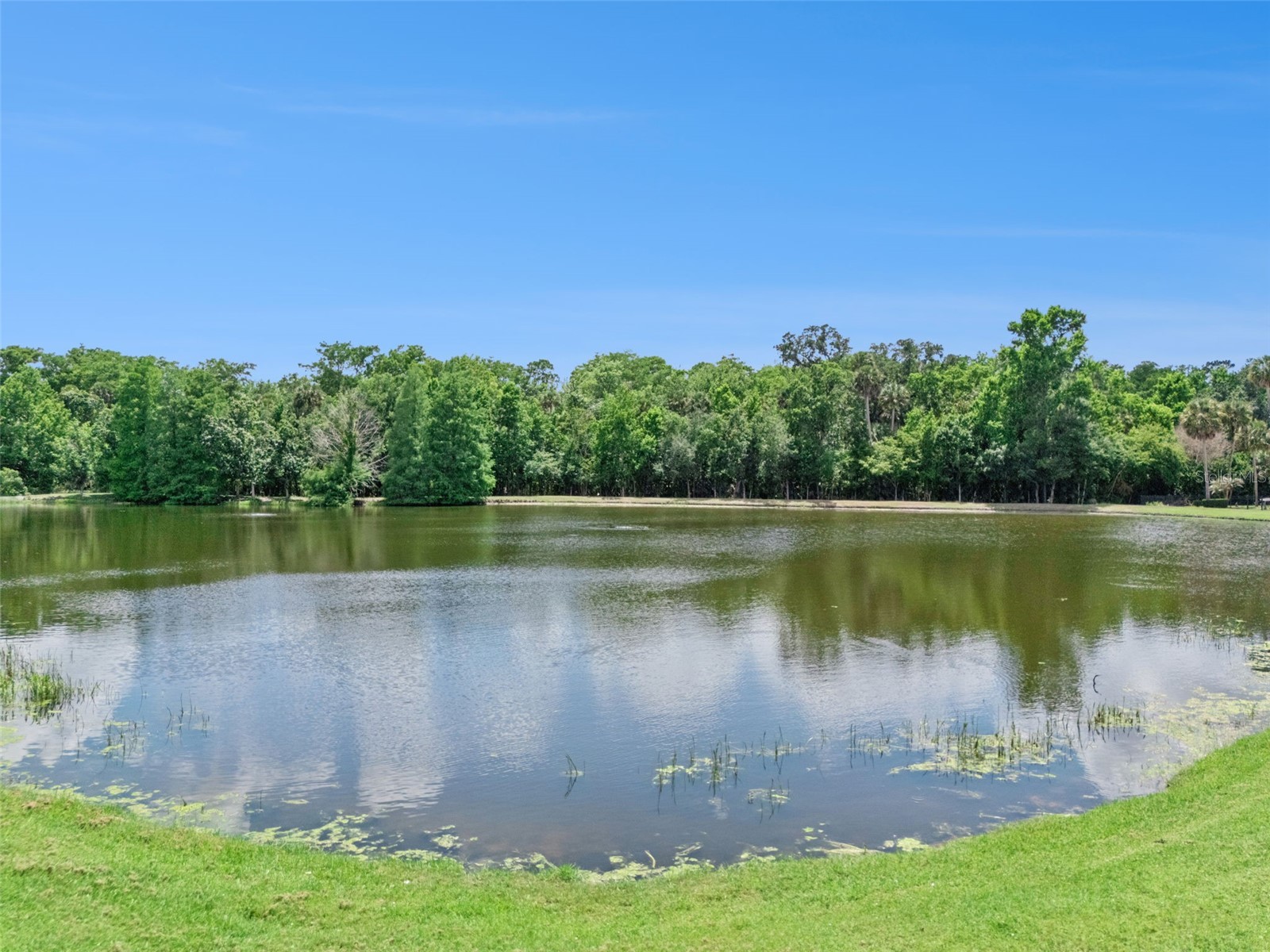 930 Croton Road Celebration FL 34747 O6409064 image51