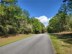 930 E Abend Drive Citrus Springs FL 34434 T3486451 image1