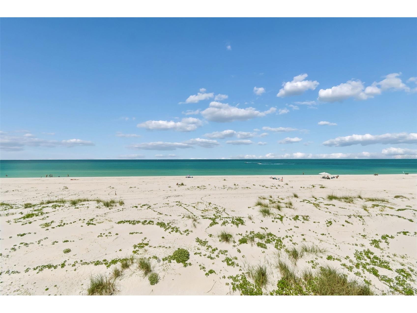 930 Eldorado Avenue Clearwater Beach FL 33767 TB8497025 image52