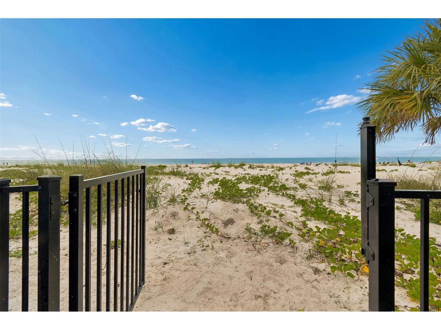 930 Eldorado Avenue Clearwater Beach FL 33767 TB8497025 image80