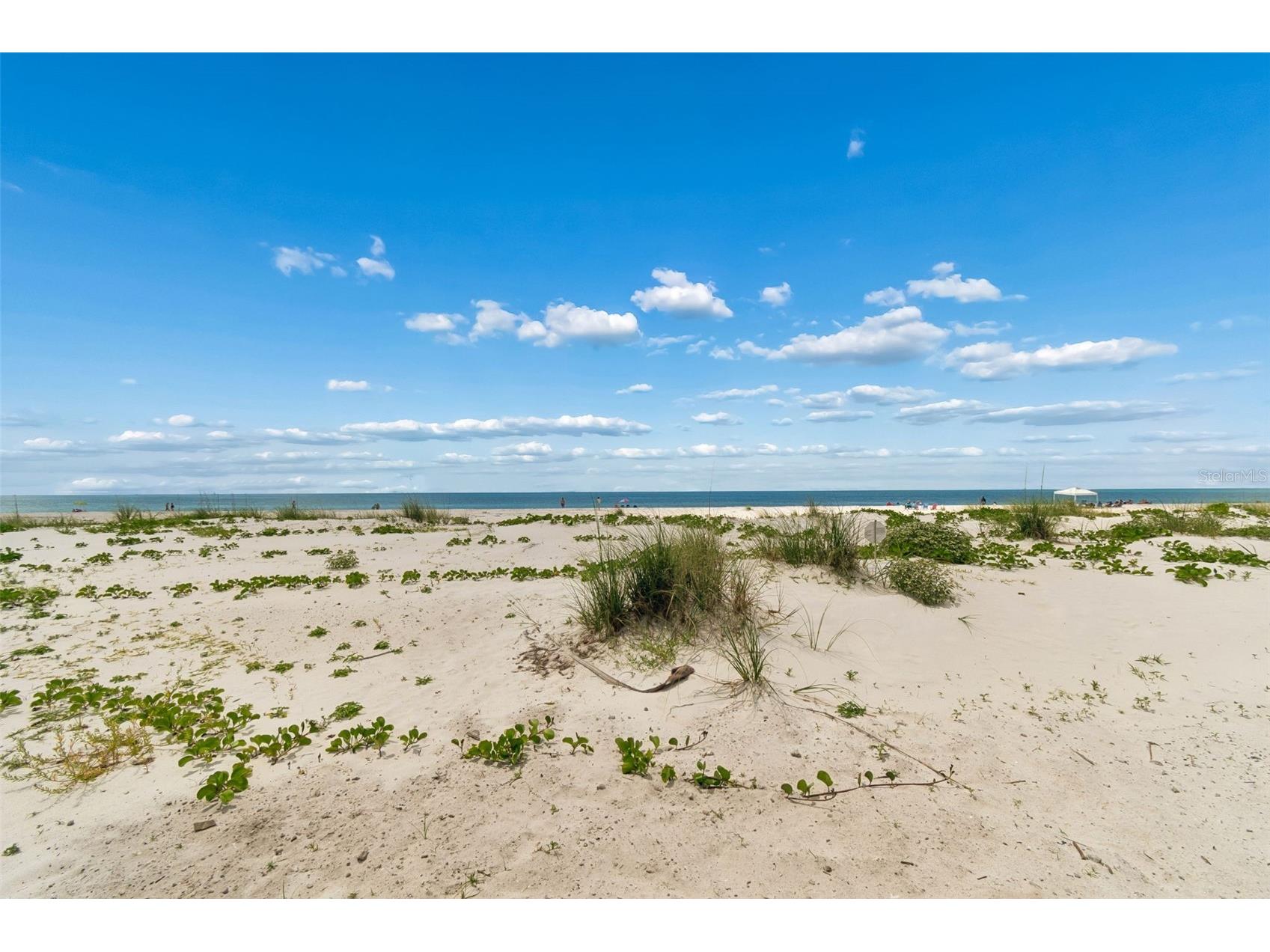 930 Eldorado Avenue Clearwater Beach FL 33767 TB8497025 image81