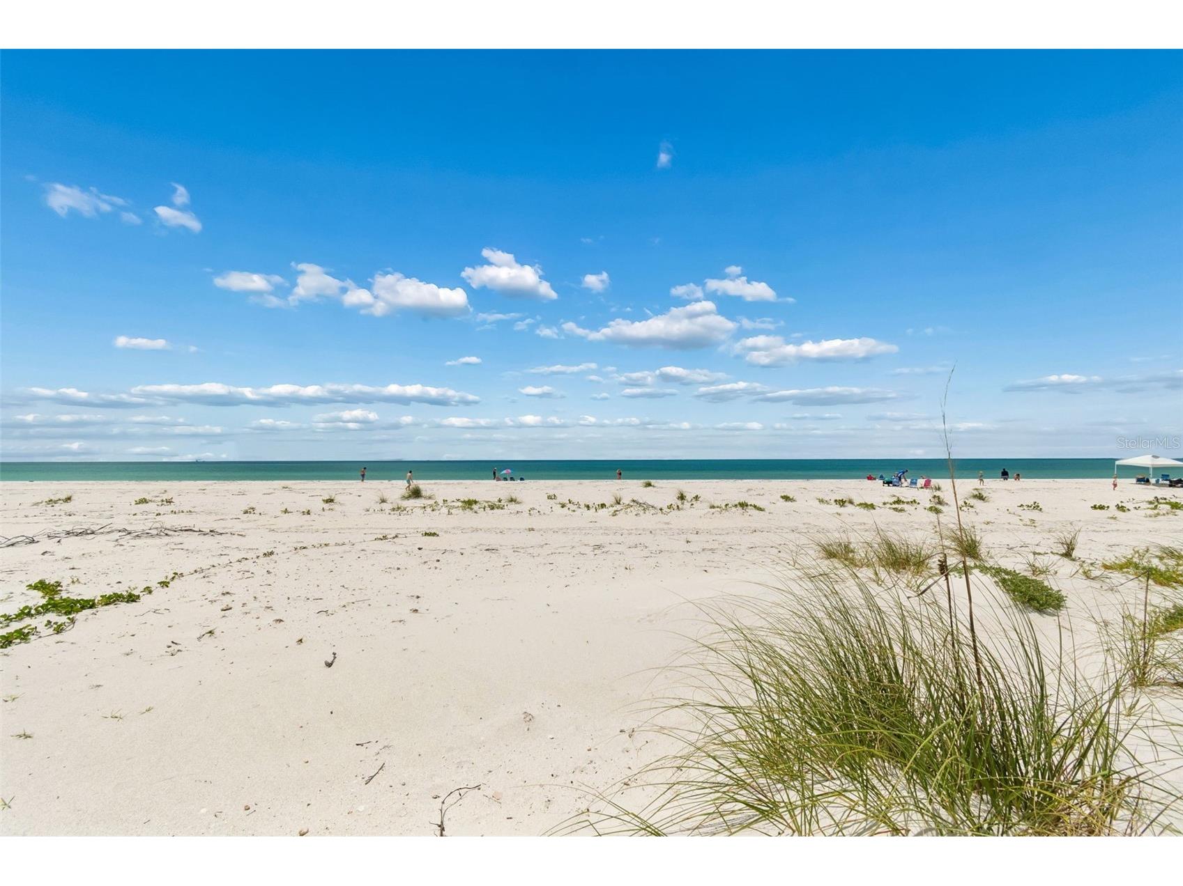 930 Eldorado Avenue Clearwater Beach FL 33767 TB8497025 image83