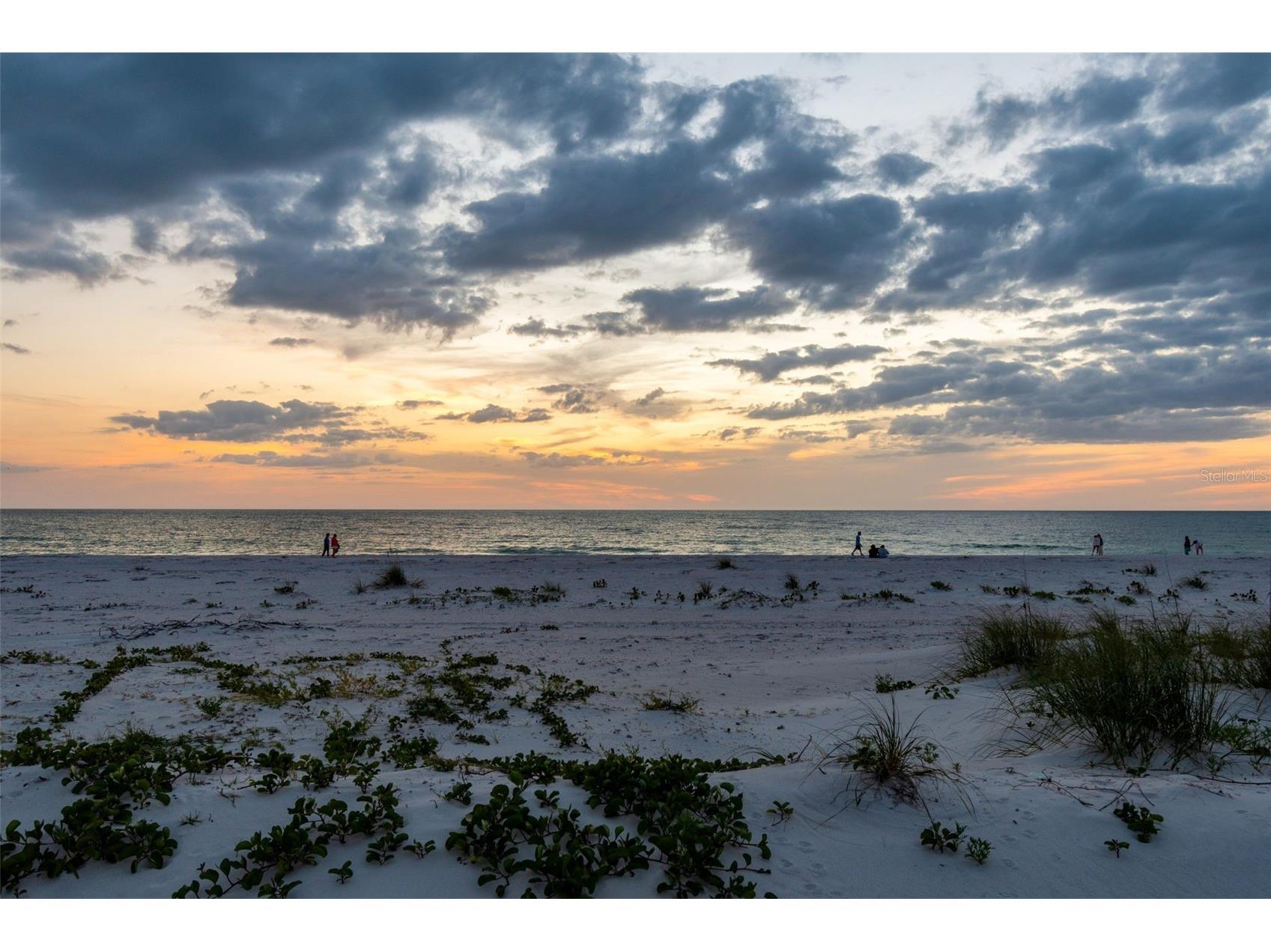 930 Eldorado Avenue Clearwater Beach FL 33767 TB8497025 image99
