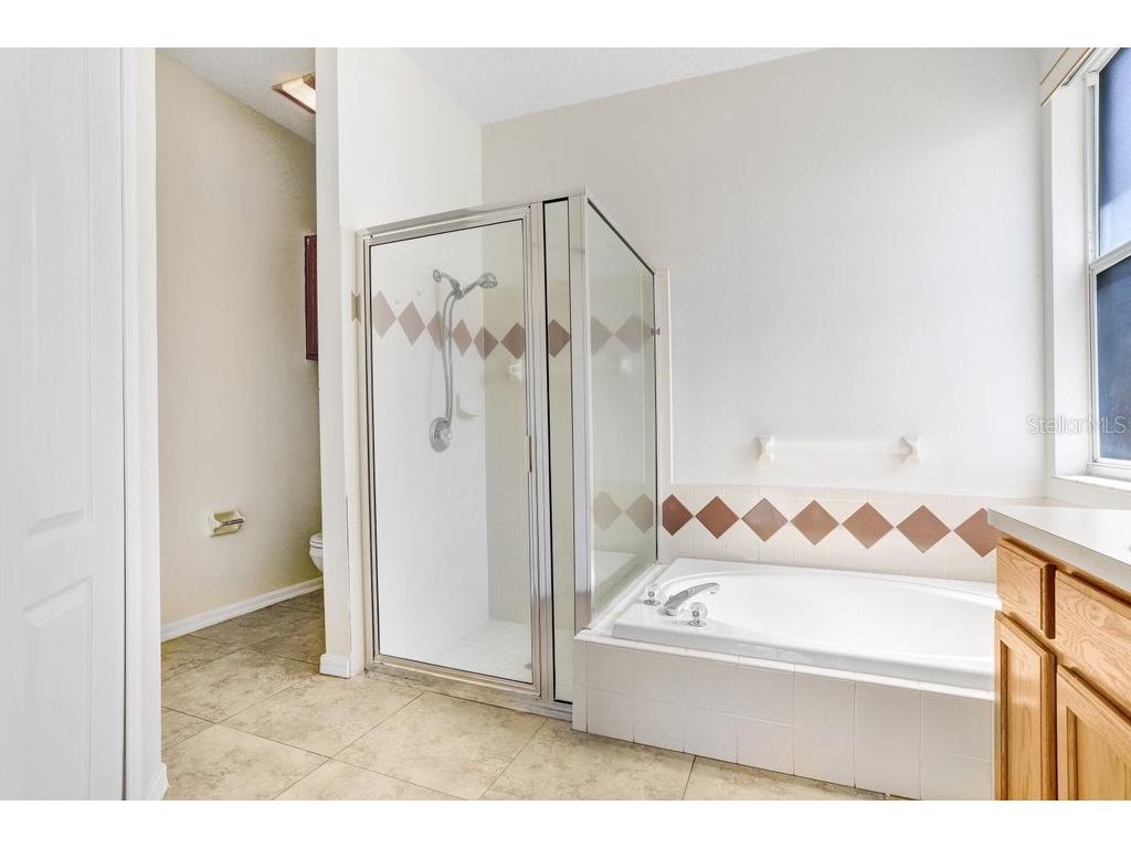 930 Grand Canyon Drive Valrico FL 33594 TB8416268 image21