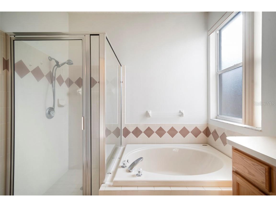 930 Grand Canyon Drive Valrico FL 33594 TB8461948 image36