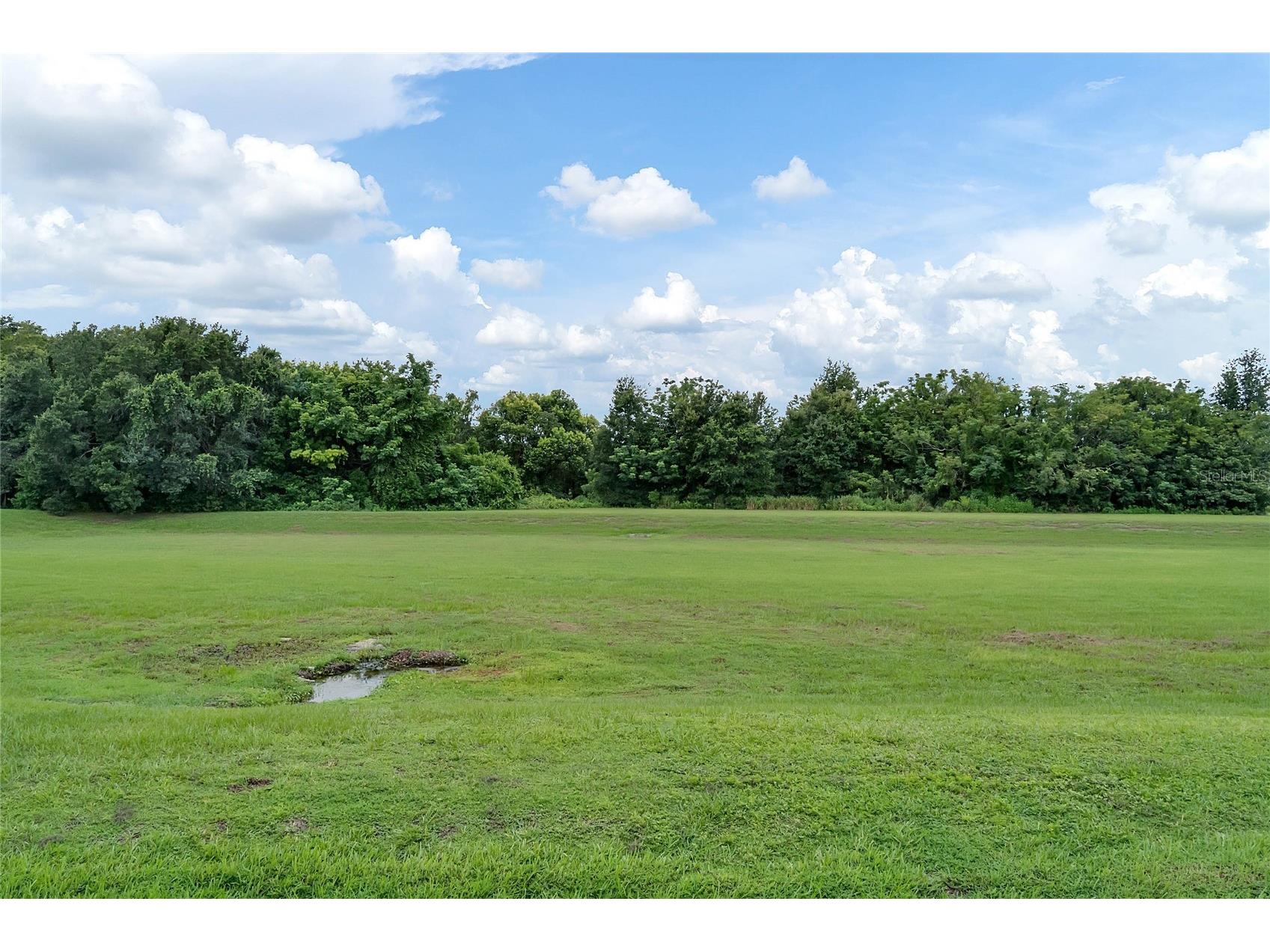 930 Loch Carron #1212 Apopka FL 32712 O6406211 image30