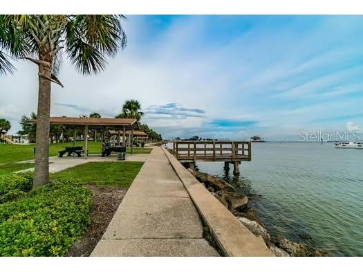 930 Montrose Boulevard N Saint Petersburg FL 33703 TB8514454 image47