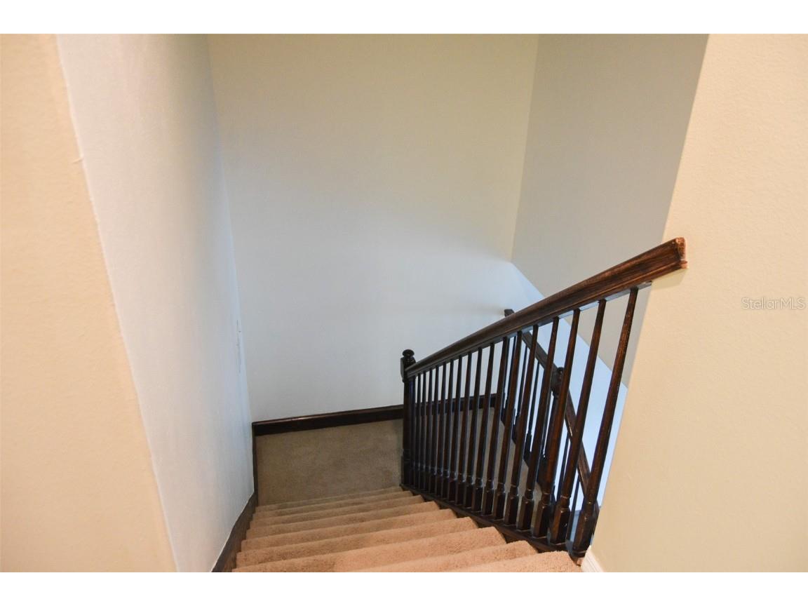 930 Woodbridge Ct Safety Harbor FL 34695 W7876152 image23