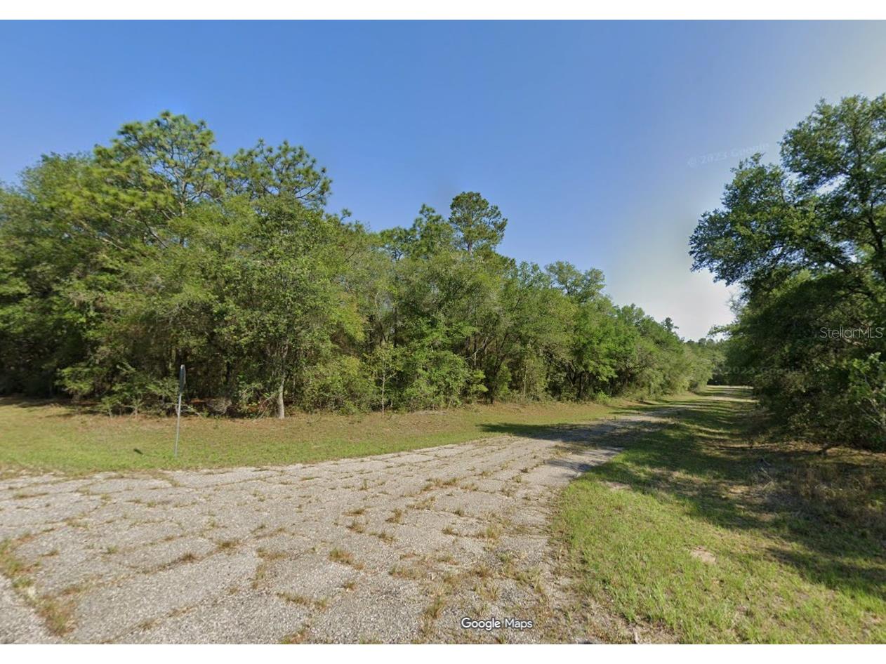 9300 N Lampson Terrace Citrus Springs FL 34434 OM725351 image1