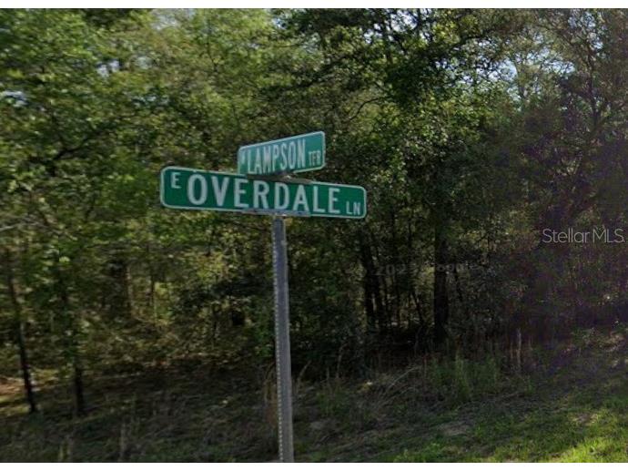 9300 N Lampson Terrace Citrus Springs FL 34434 OM725351 image2