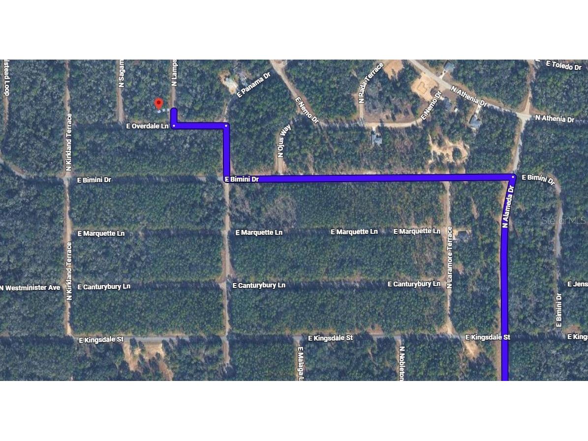 9300 N Lampson Terrace Citrus Springs FL 34434 OM725351 image4