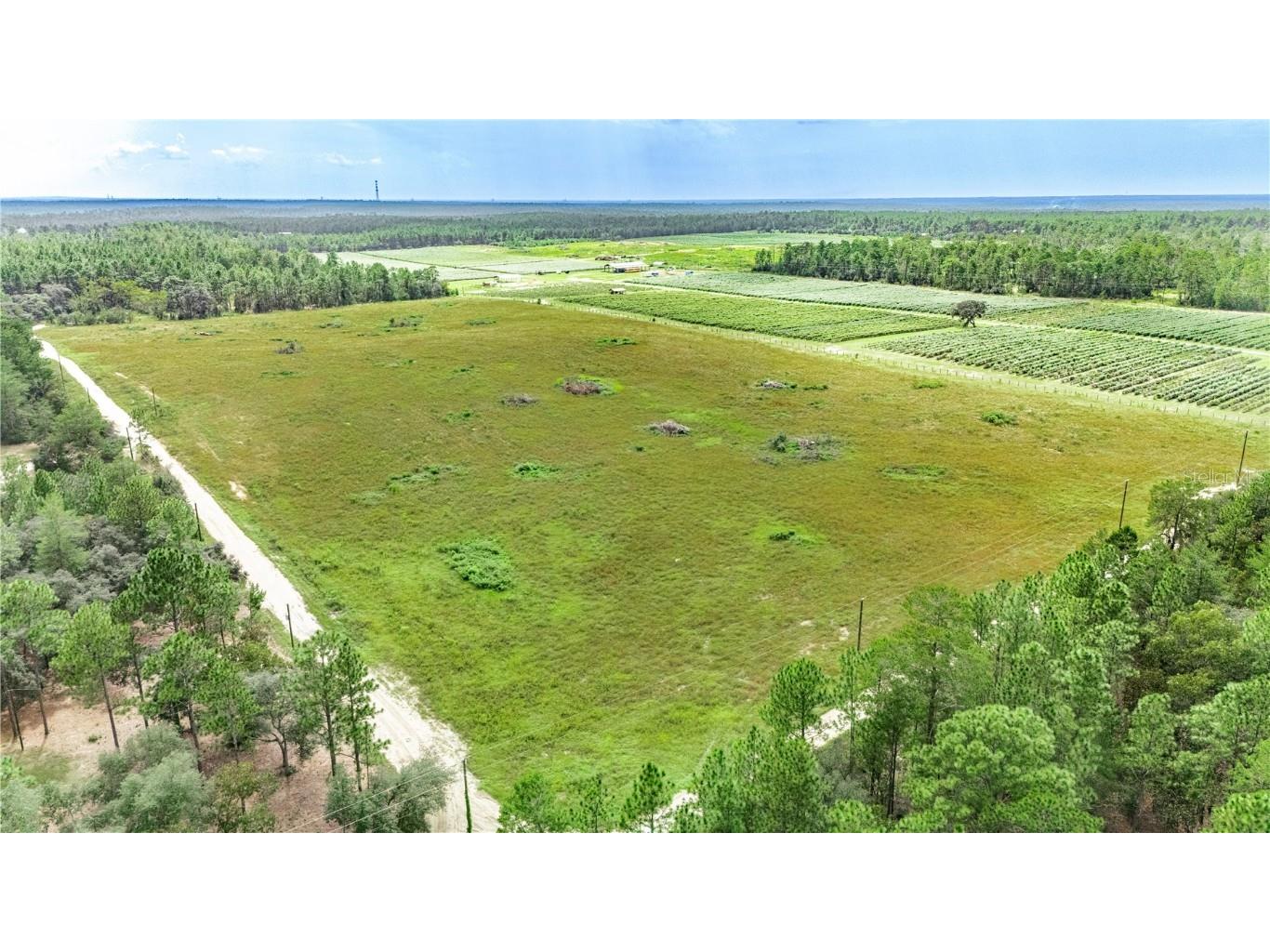 9300 N Unicorn Point Dunnellon FL 34433 OM686916 image1