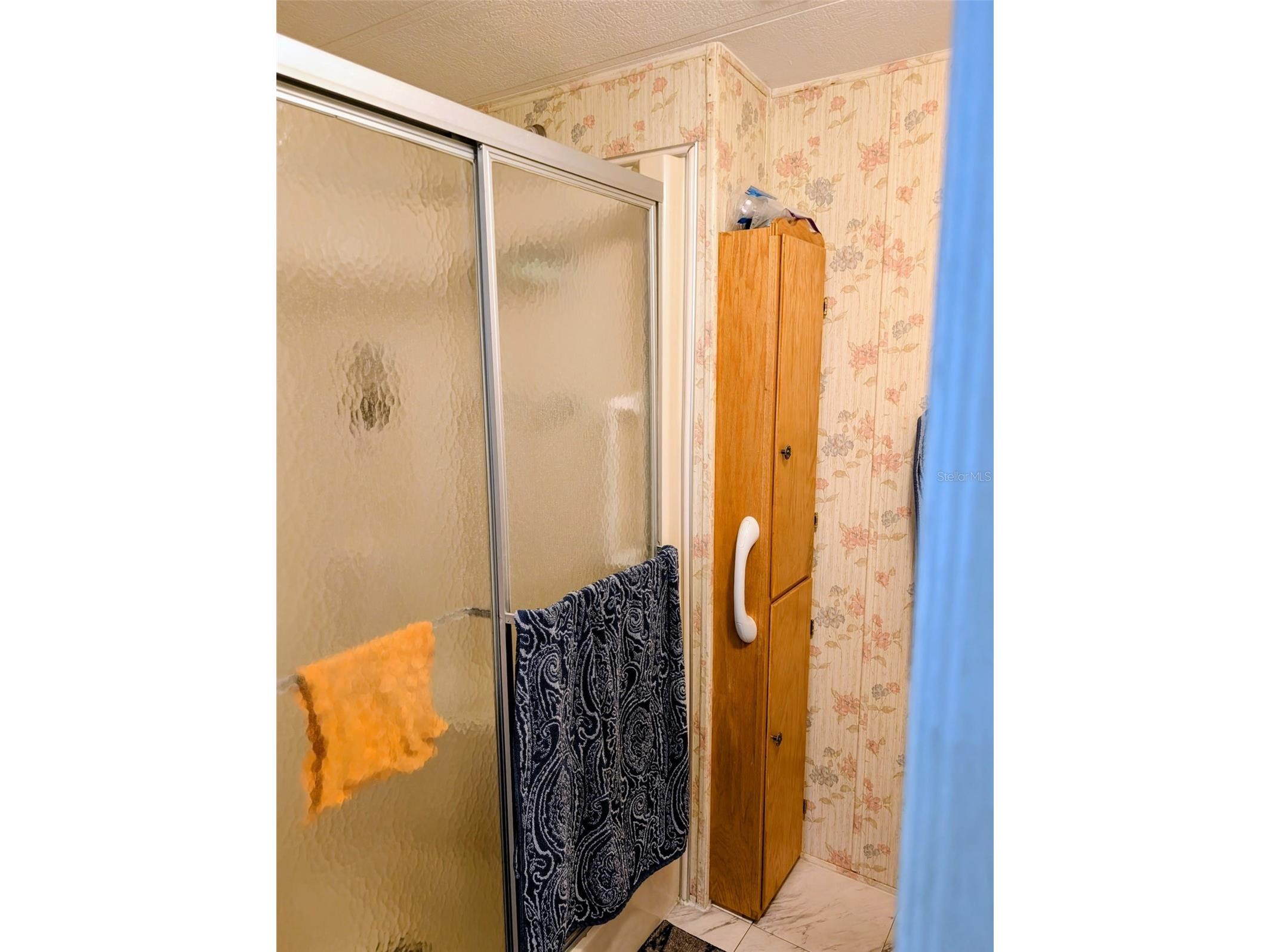 9300 SE 140th Place Summerfield FL 34491 R4910957 image9