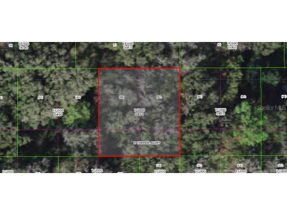 9301 E Tin Pan Alley Inverness FL 34453 O6191710 image1