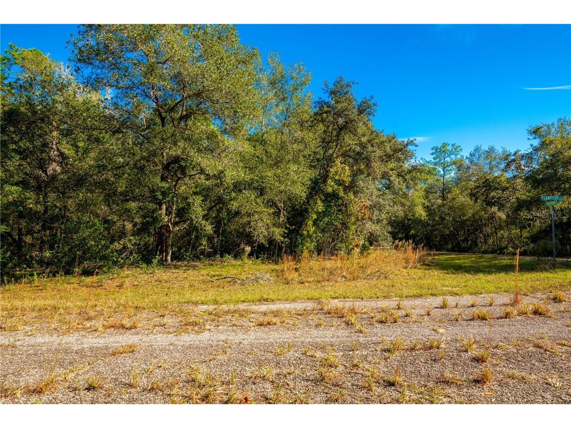 9301 N Lampson Terrace Citrus Springs FL 34434 T3419083 image1
