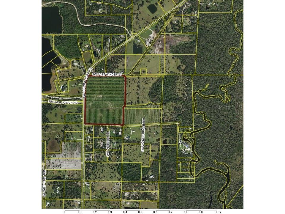 9301 SW Ft. Winder Street Arcadia FL 34269 C7495646 image1