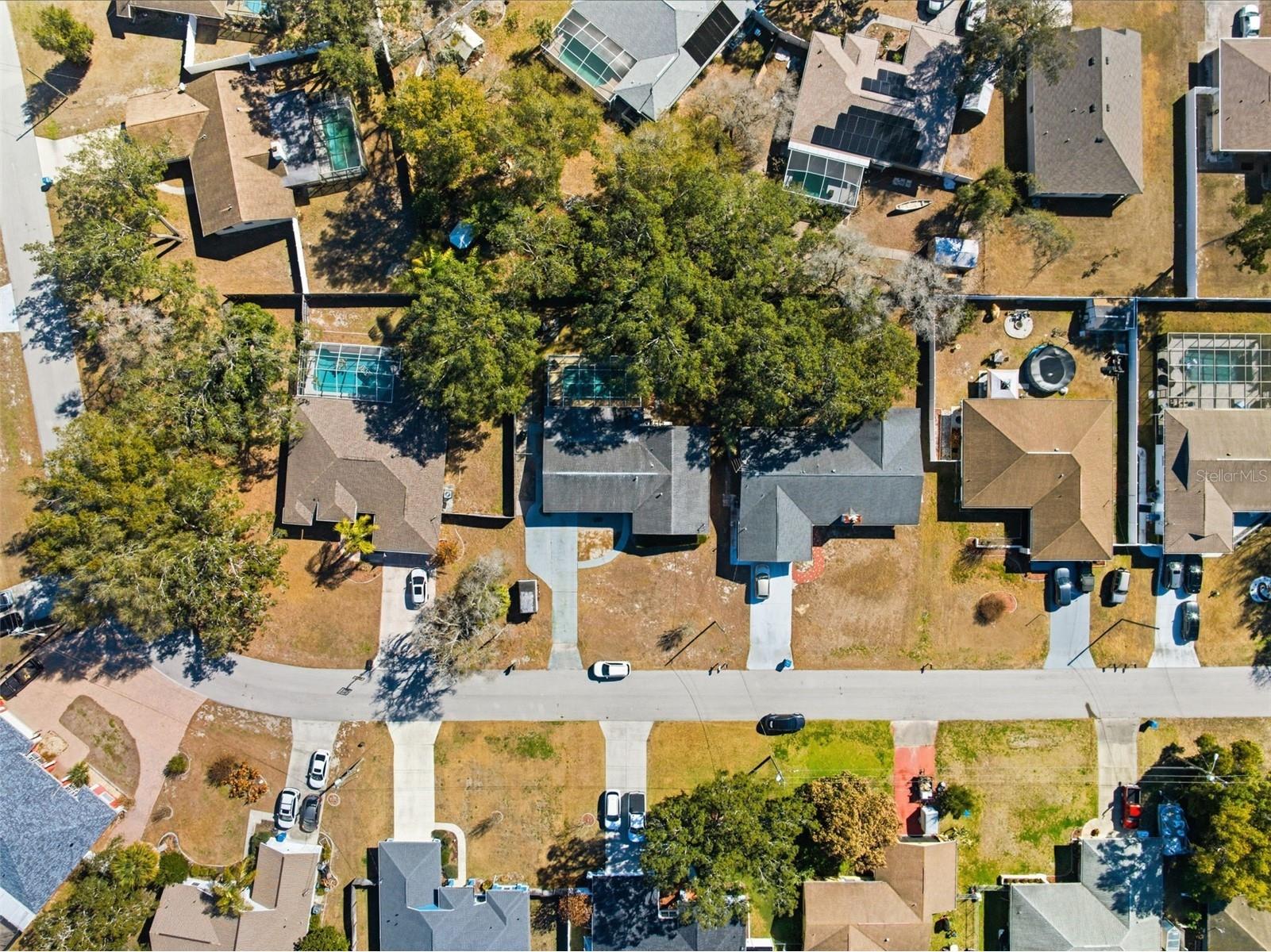 9302 Benrock Road Spring Hill FL 34608 W7882924 image35