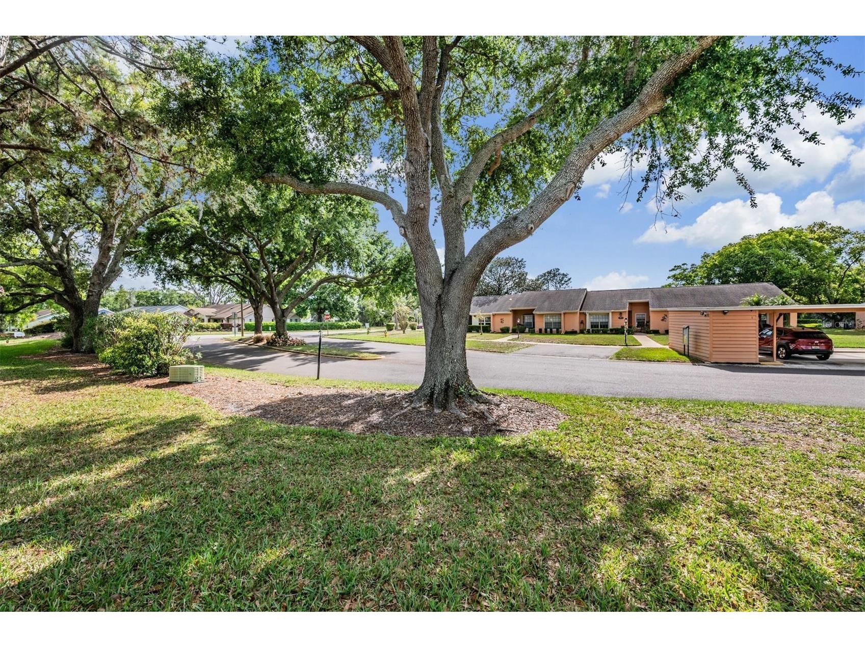 9302 Trowbridge Court New Port Richey FL 34655 TB8492435 image30