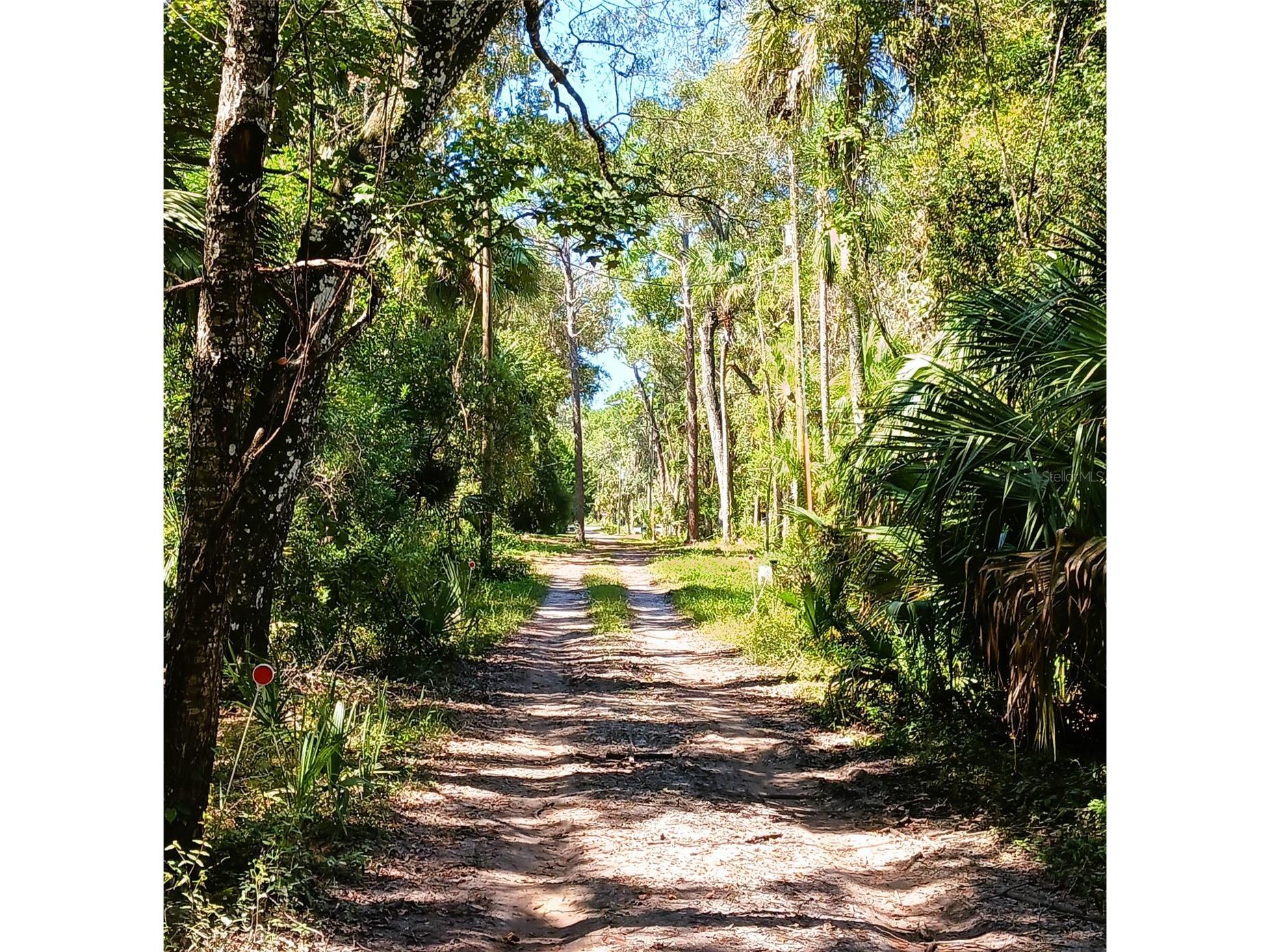 9302 W Tall Pines Court Crystal River FL 34428 W7887073 image1