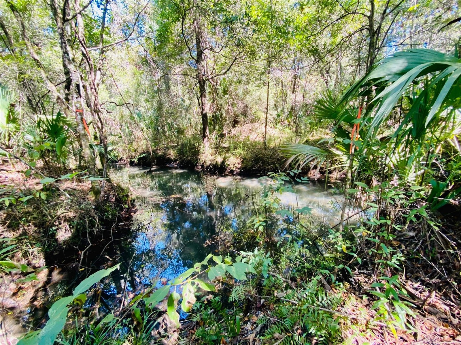 9302 W Tall Pines Court Crystal River FL 34428 W7887073 image2