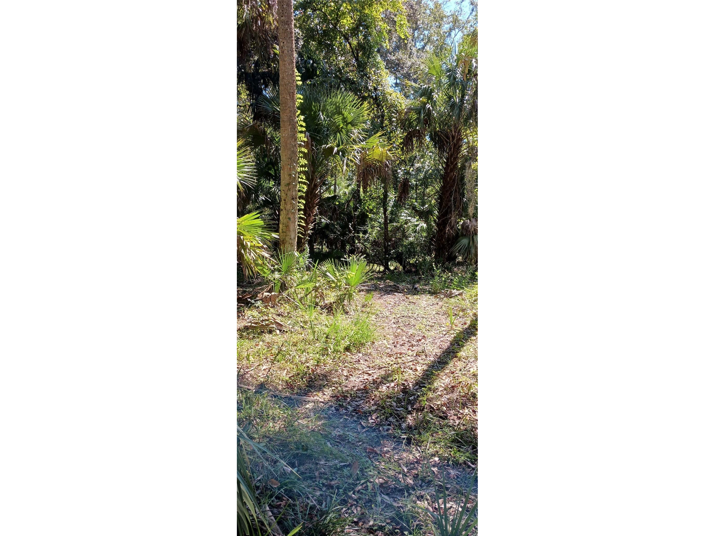 9302 W Tall Pines Court Crystal River FL 34428 W7887073 image3